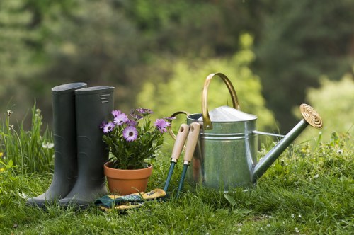 Expert team maintaining a lush lawn