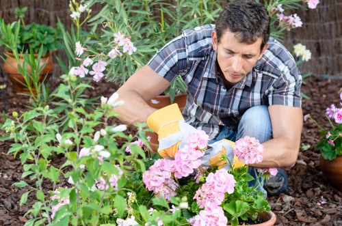 Garden clearance team removing overgrowth in an urban backyard