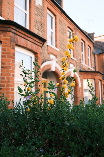 A row of terraced houses along a quiet residential street, featuring brick facades with varied colors and architectural details. In the foreground, a small garden bed contains lush green shrubs and a 